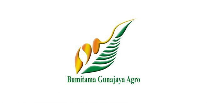 Lowongan Kerja PT Bumitama Gunajaya Agro Group (BGA Group)