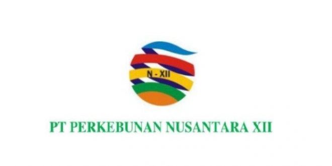 Lowongan Kerja BUMN Terbaru PT Perkebunan Nusantara XII